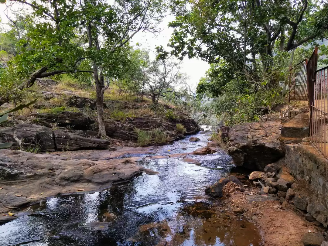Photo of Pachmarhi Diaries