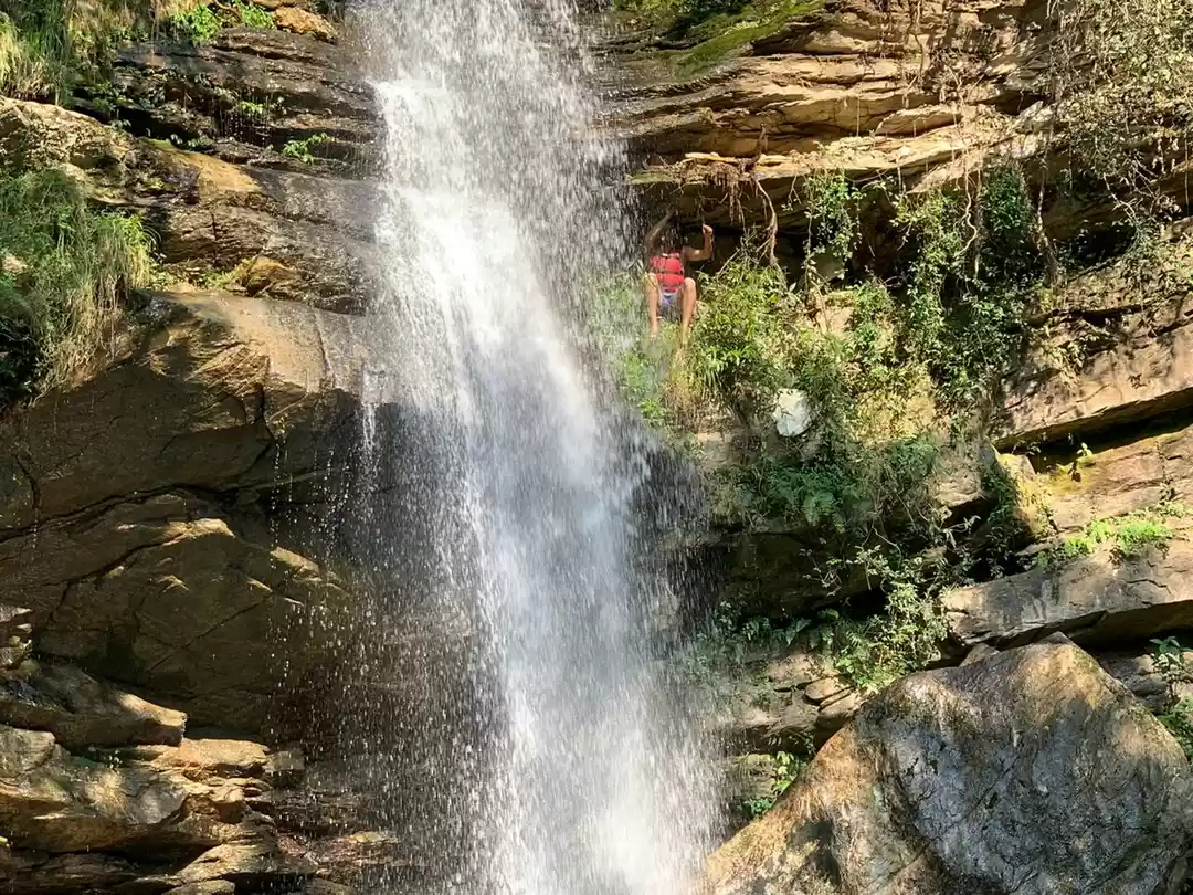 Photo of avijeet makvana