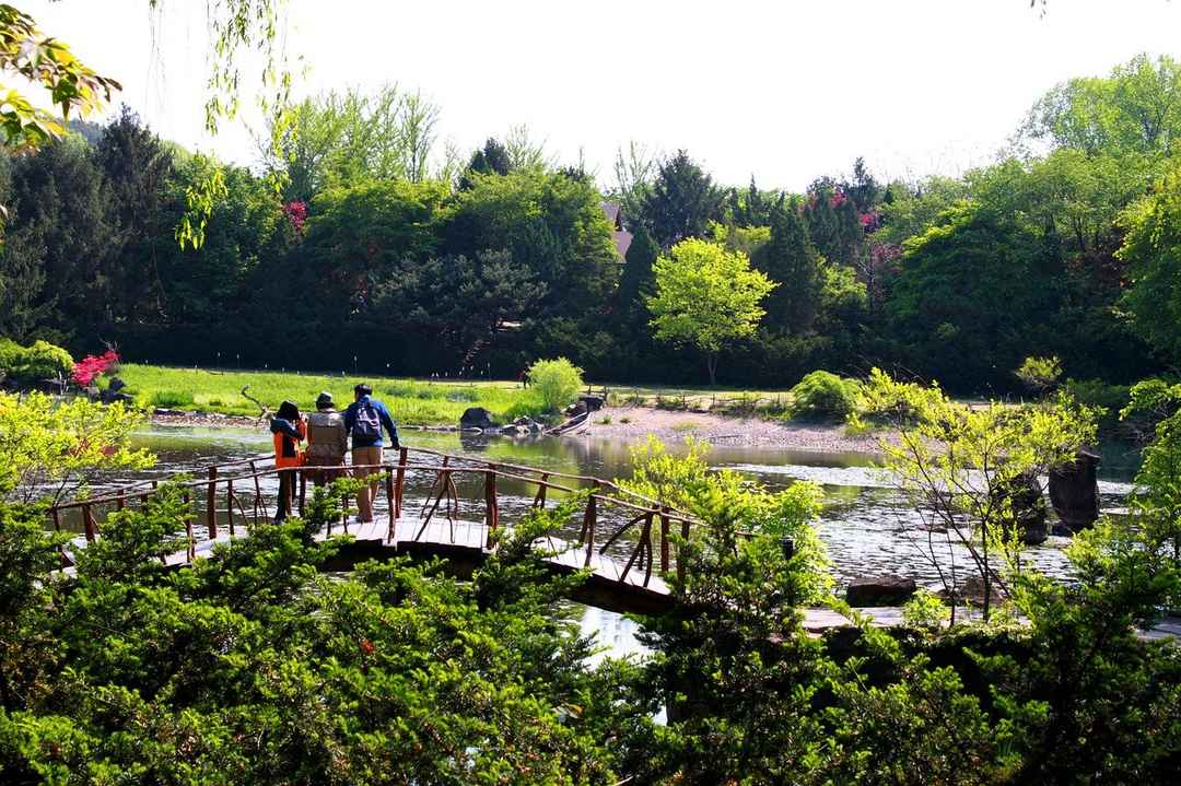 Fairy Lake Botanical Garden A Serene Place To Visit Tripoto