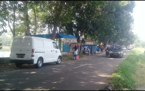 Photo of The Coolest Neighbou