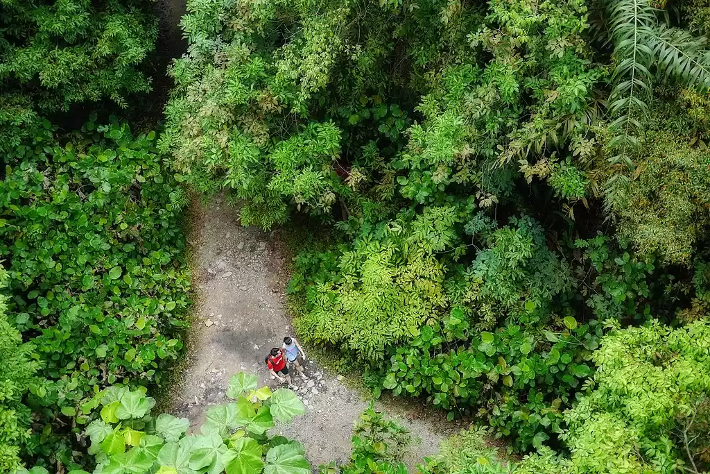 Photo of Top Singapore Hiking