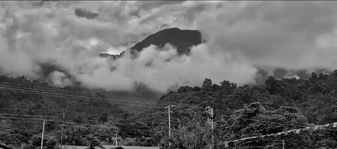 Photo of Monochrome life