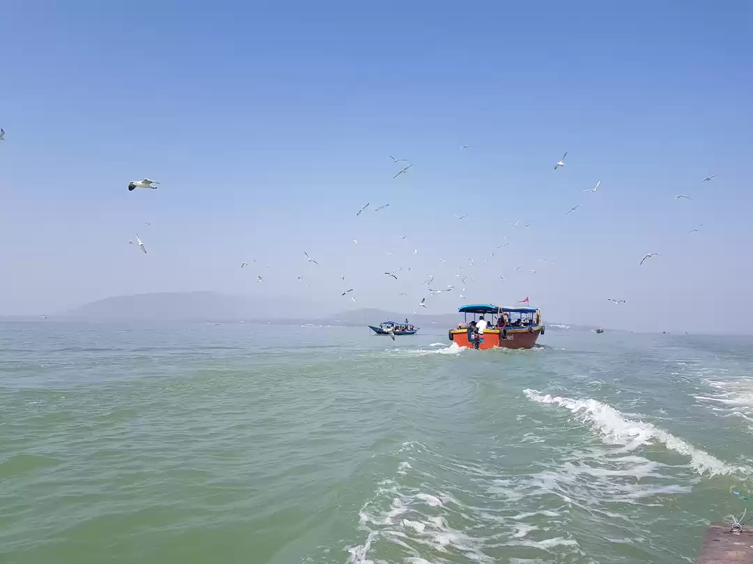 Photo of Day trip to Chilika 