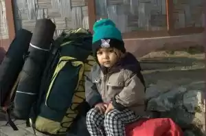 Photo of barsey-rhododendron-