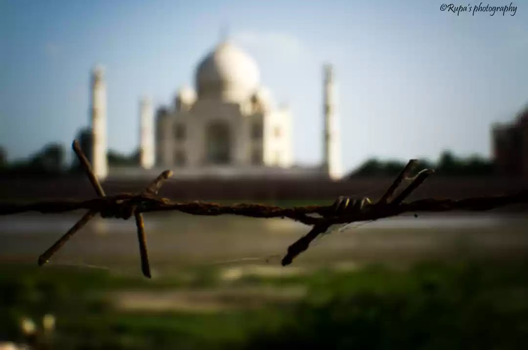 Photo of THE TAJ-- White Godd