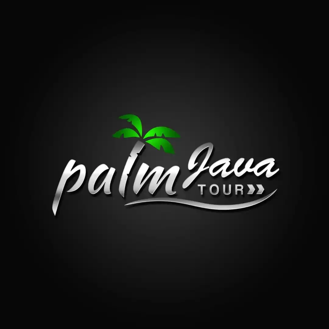 Photo of Palm Java