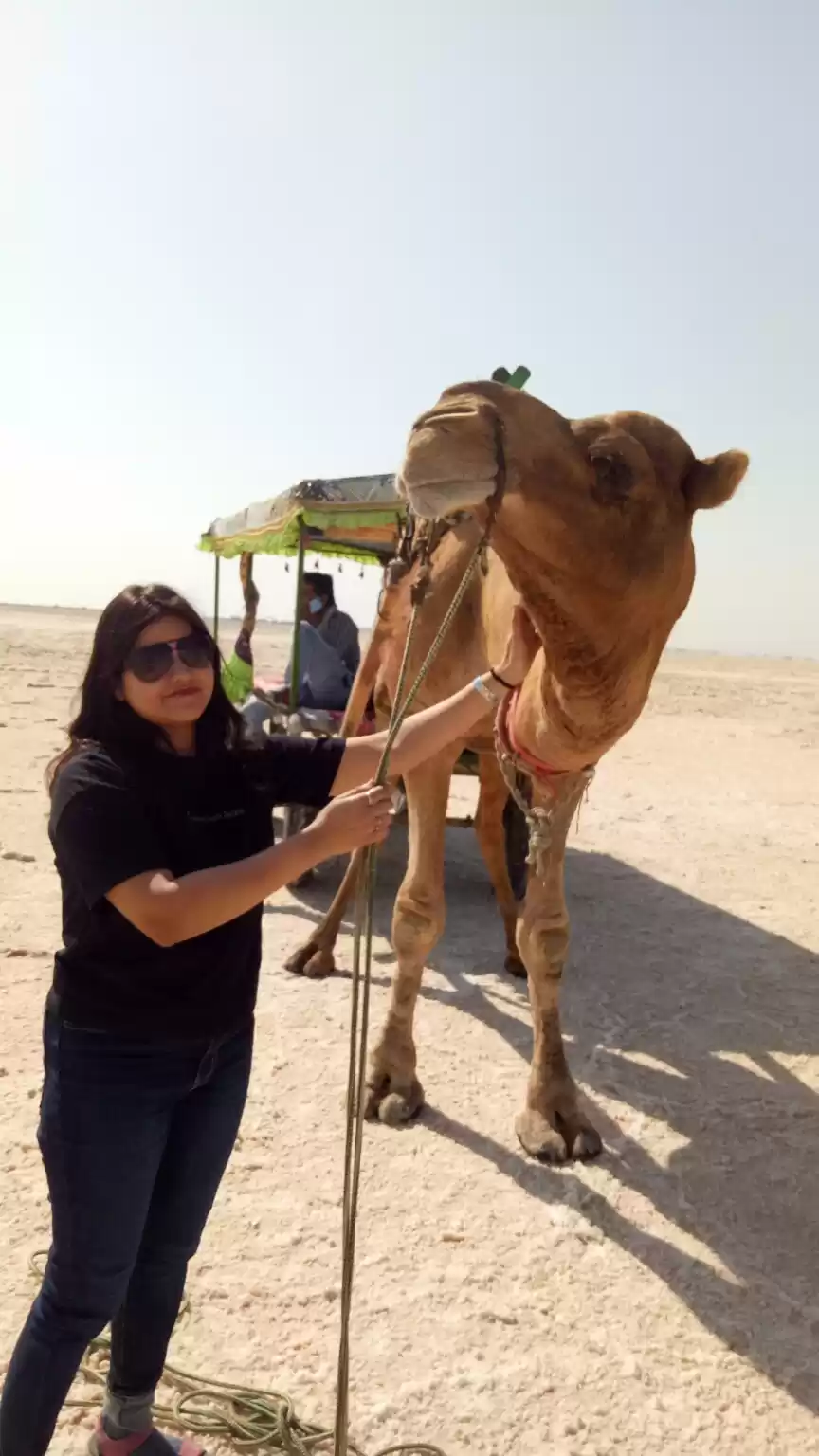 Photo of The surreal whitesan