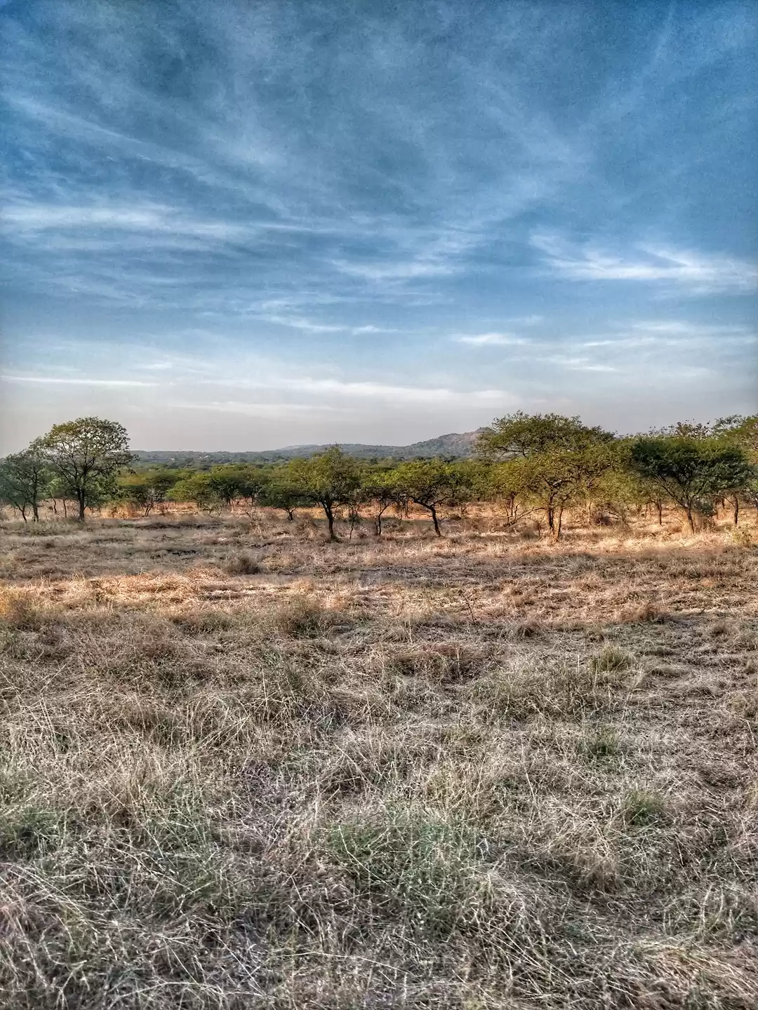 Photo of 2 days in Gir and Di