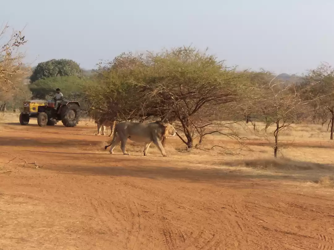 Photo of Gujarat unleashed