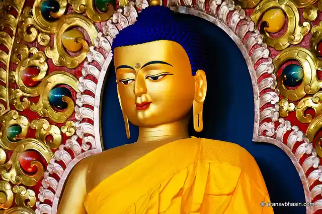 Photo of Mcleod Ganj: A Weeke