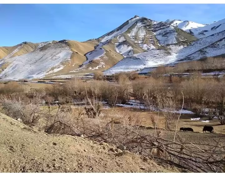 Photo of Cold desert