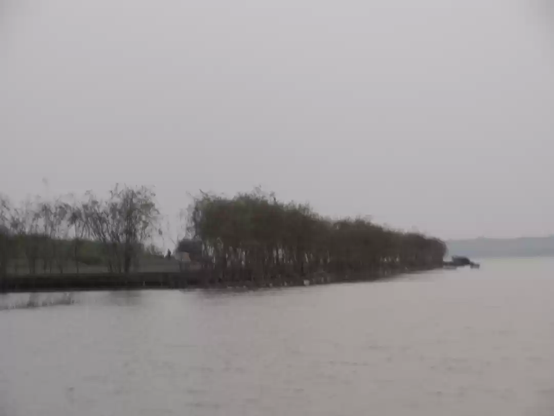 Photo of A Birder's Paradise-