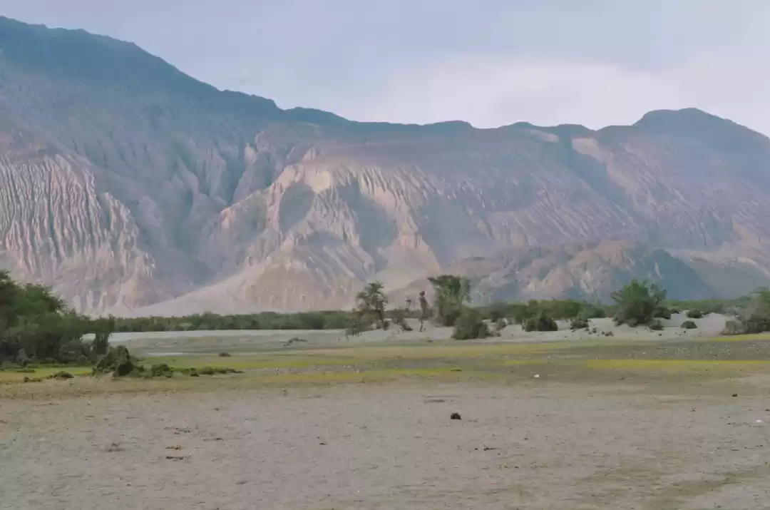 Photo of Nubra Valley & Turtu