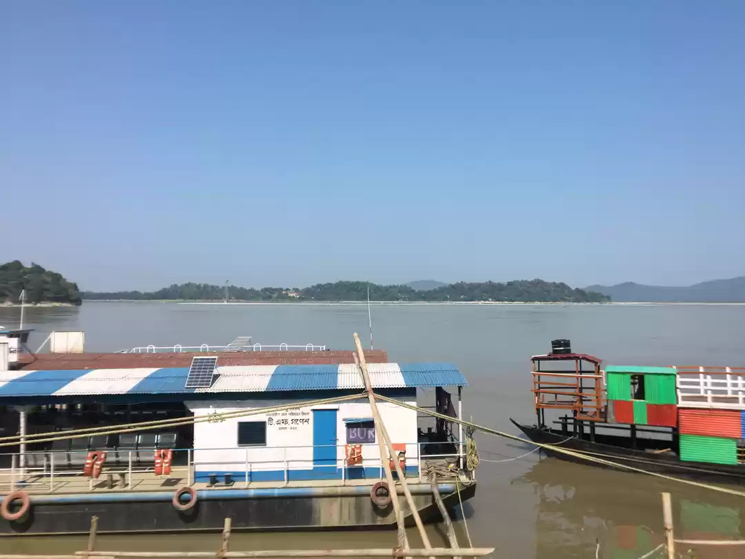 Photo of A journey to Peacock