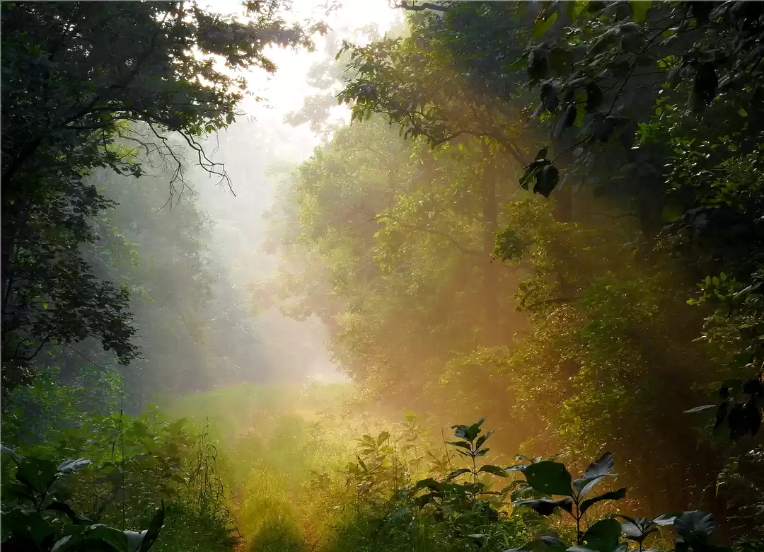 Photo of At the first rays of