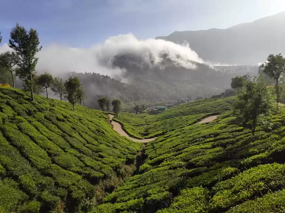 Photo of Shake off your isola