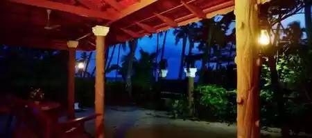 Photo of marariedens