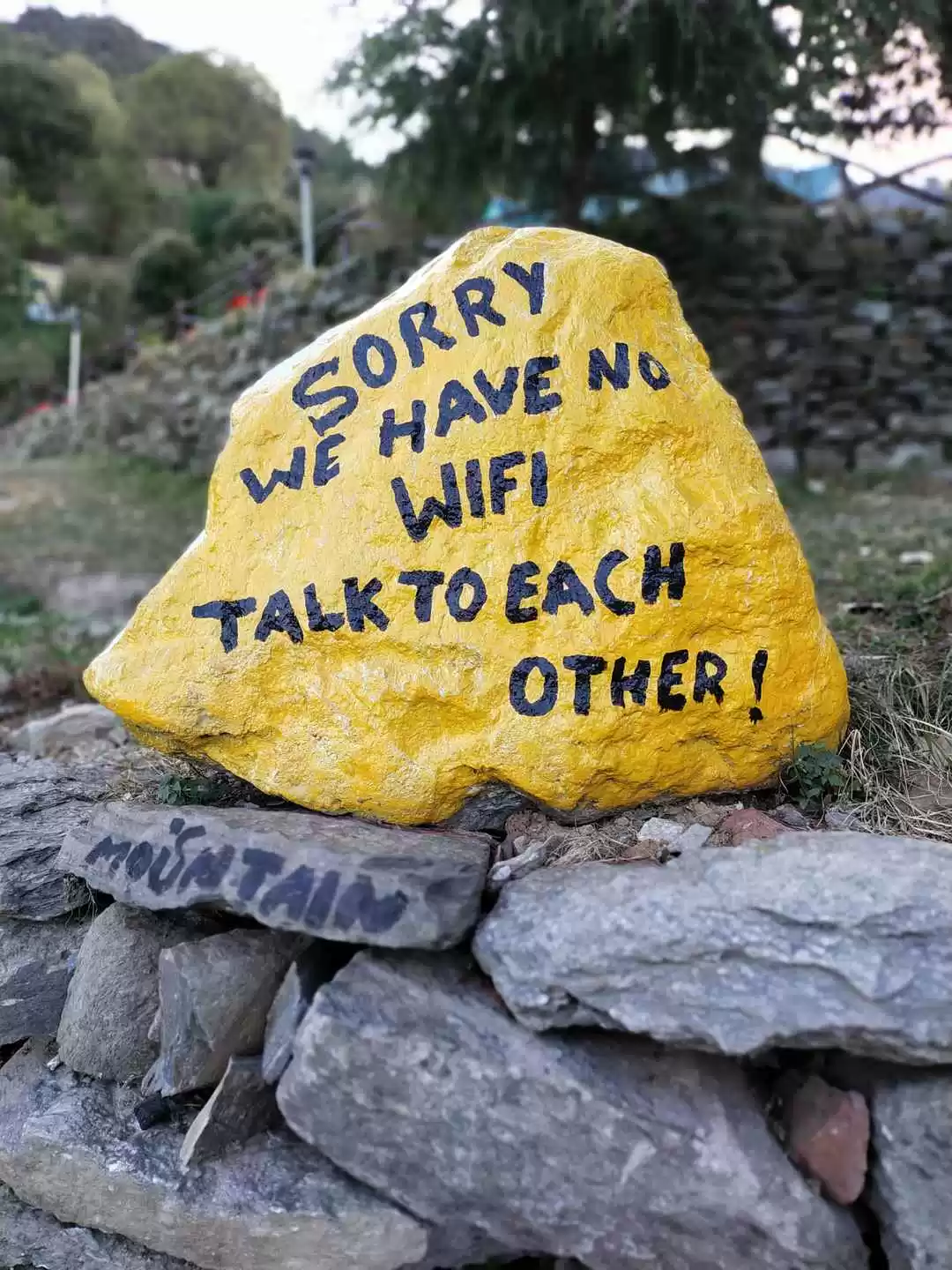 Photo of FLYING IN MOUNTAINS(