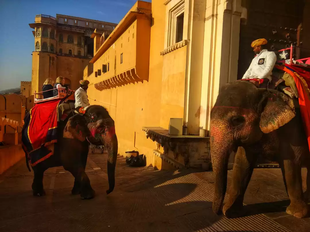 Photo of Heritage Pink City 