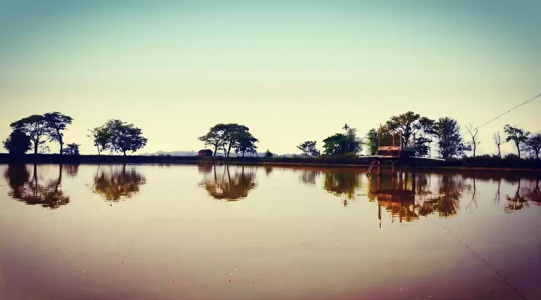 Photo of Farmhouse