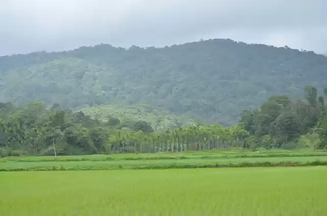 Photo of Guide To Coorg, Karn