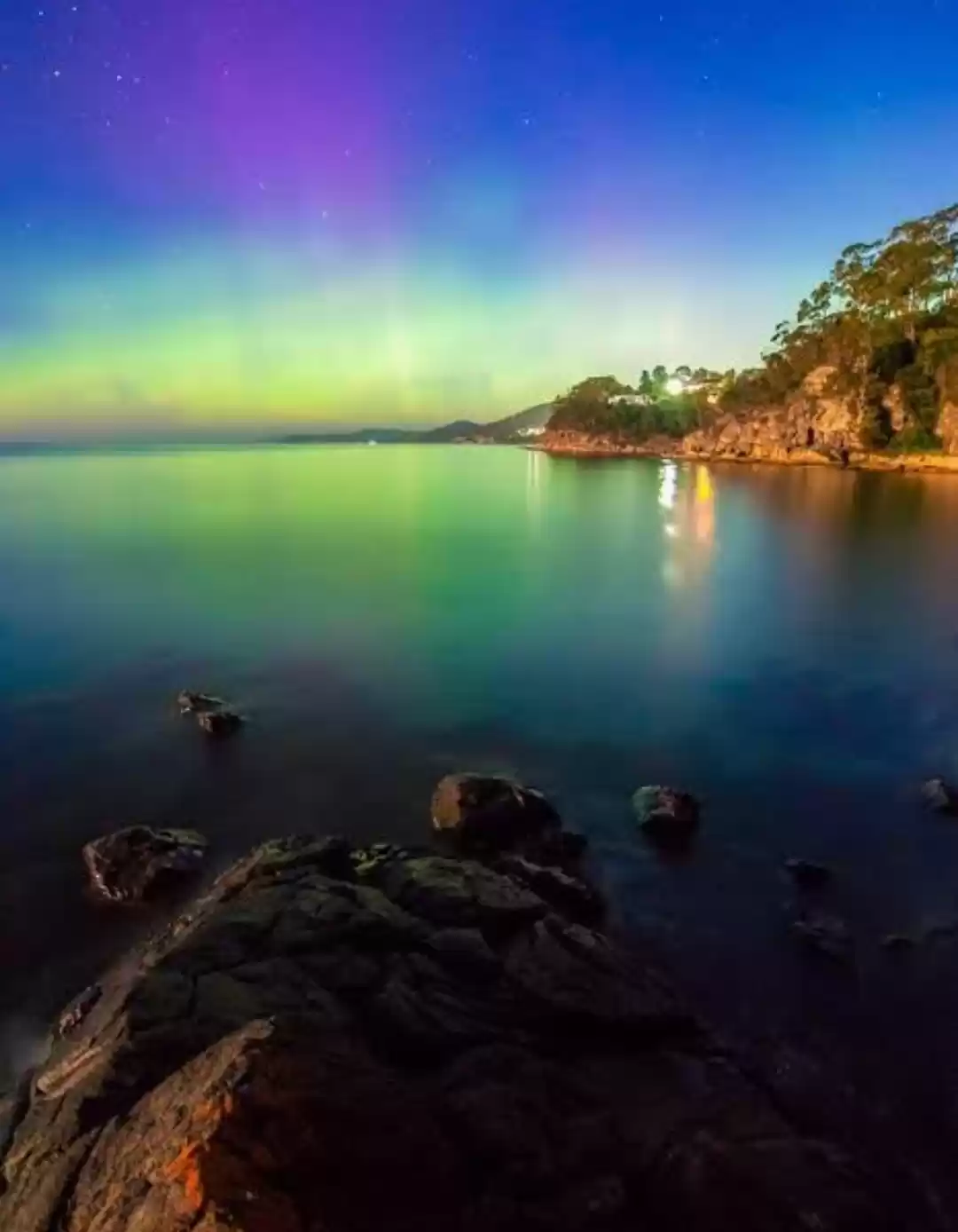 Photo of Five Beautiful Exoti