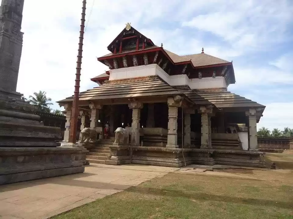 Photo of The Famous 1000 Pill