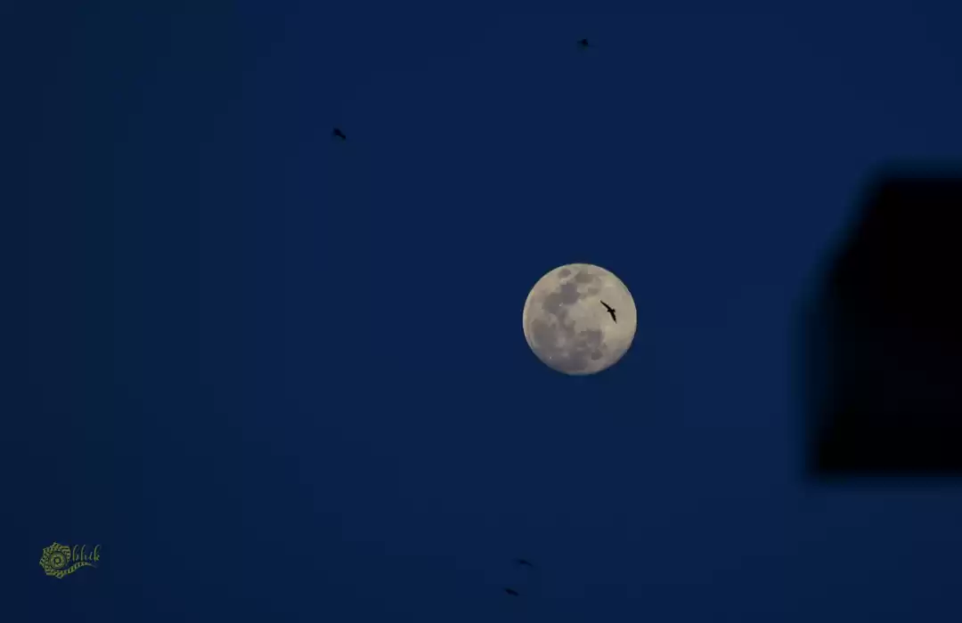 Photo of Lockdown days- a tra