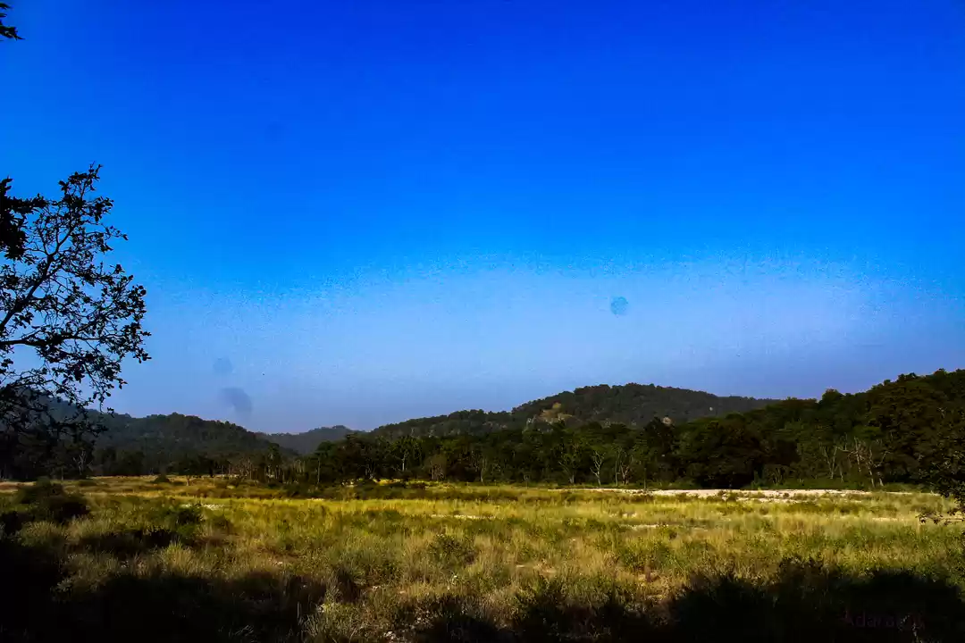 Photo of The Soul of #Corbett