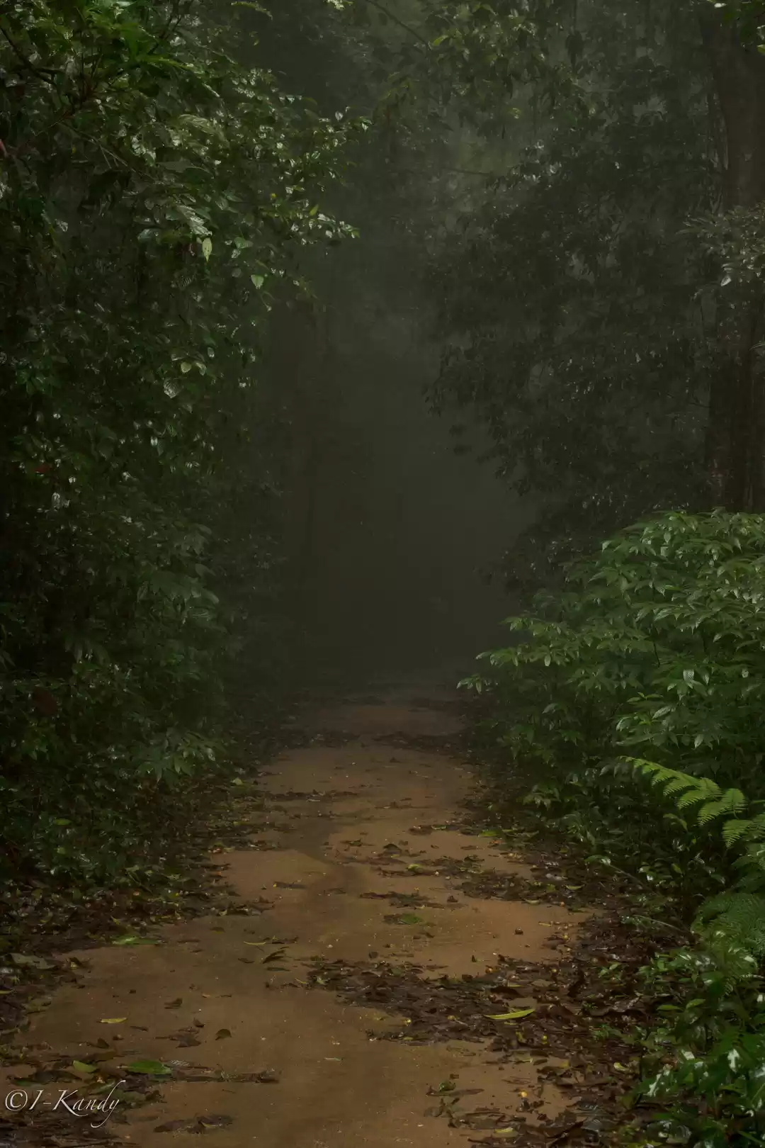 Photo of Hidden Gems: Experie