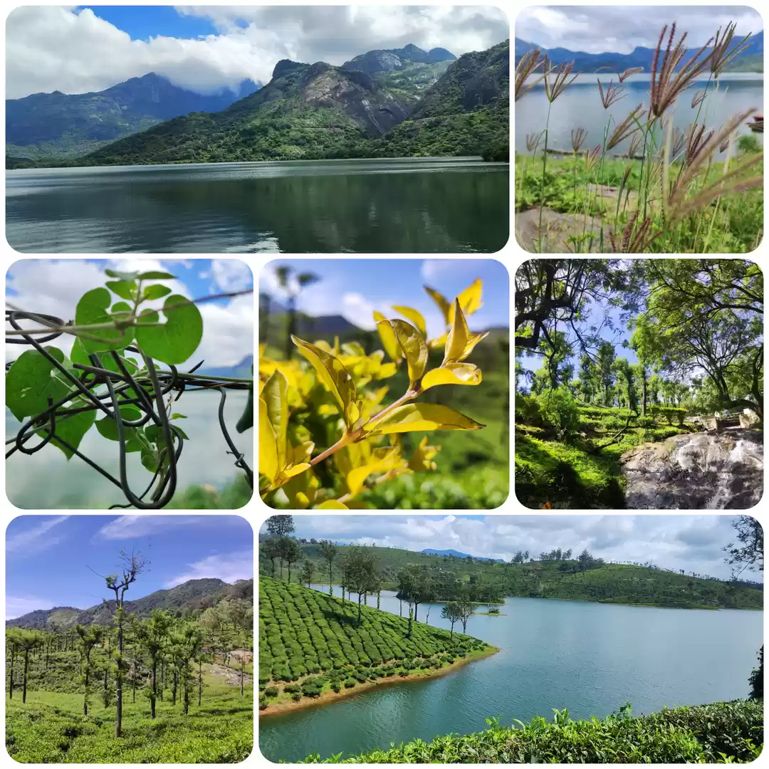 Photo of Pollachi to valpar