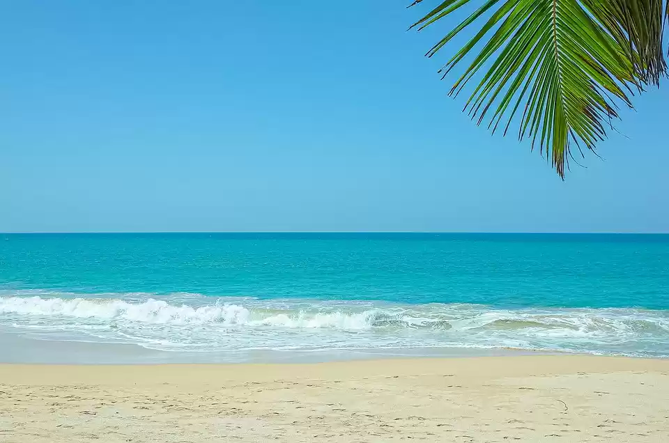 Photo of Snorkelling in Bento