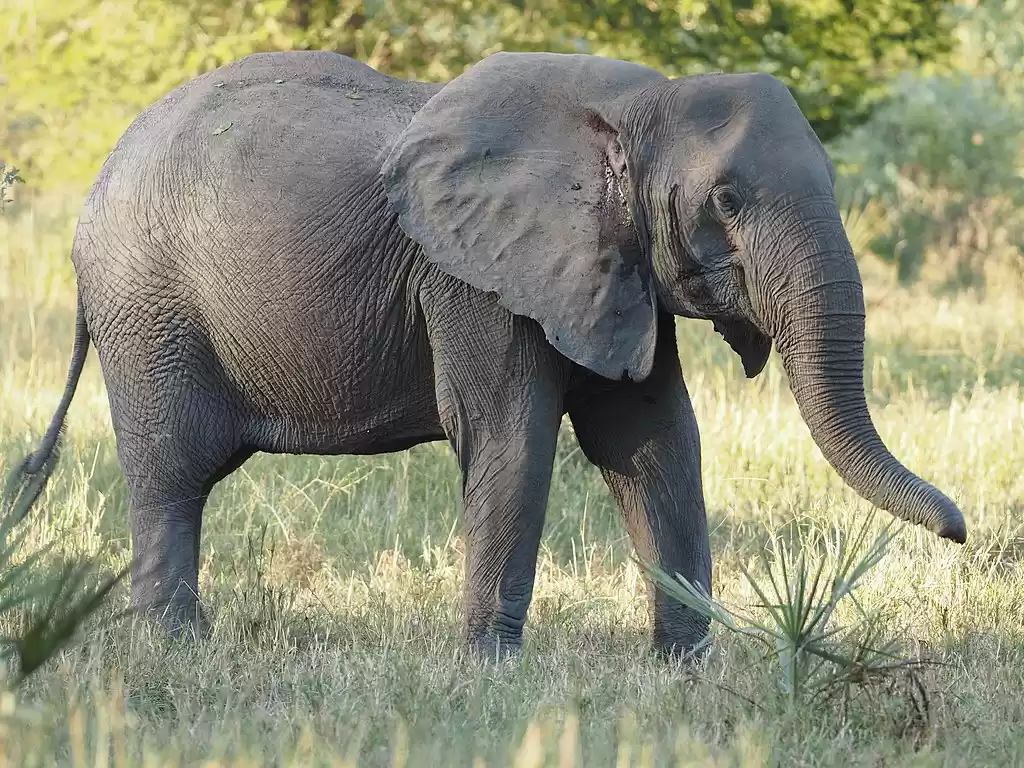 Photo of Adventures in Mozamb