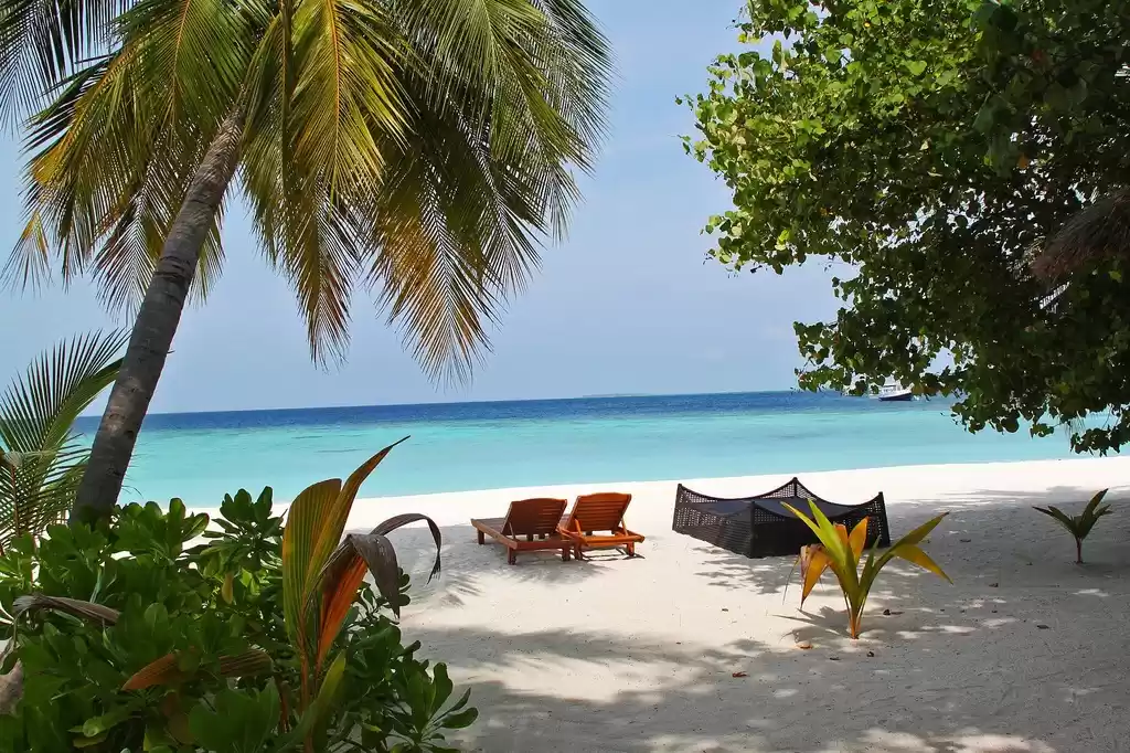 Photo of Key Things to Know B