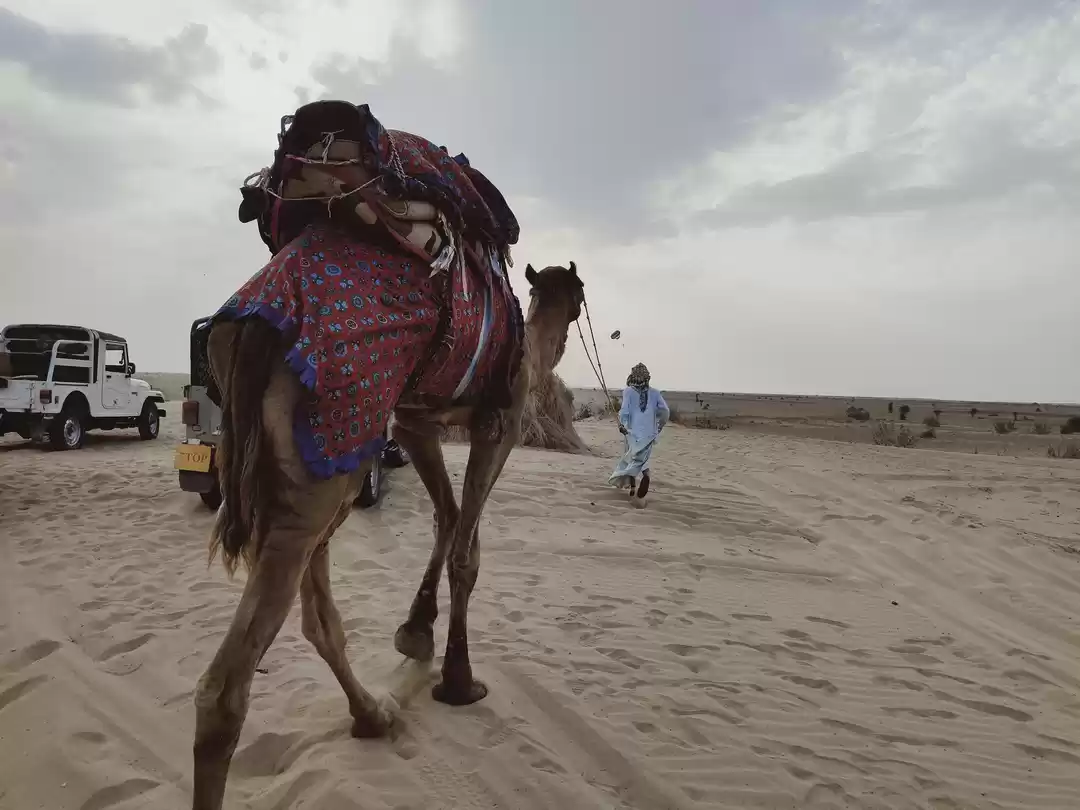 Photo of Lifetime experience 