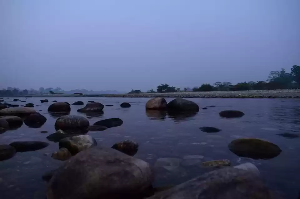 Photo of Dooars - The Uninhib