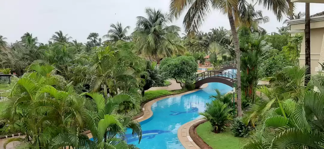 Photo of Zuri White Sand Reso