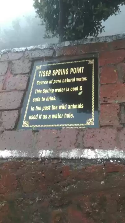 Photo of Misty lanes of Mahab