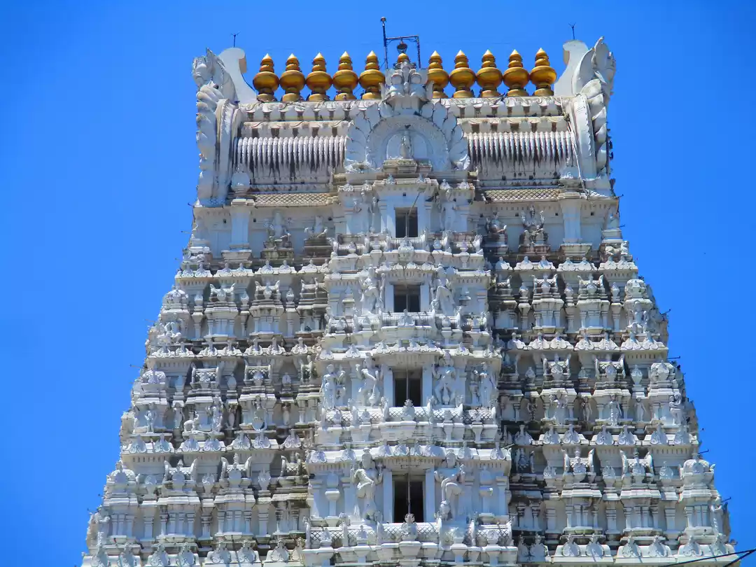 Photo of Sri Govindaraja Swam