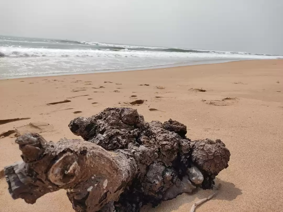 Photo of Pristine beach of ea
