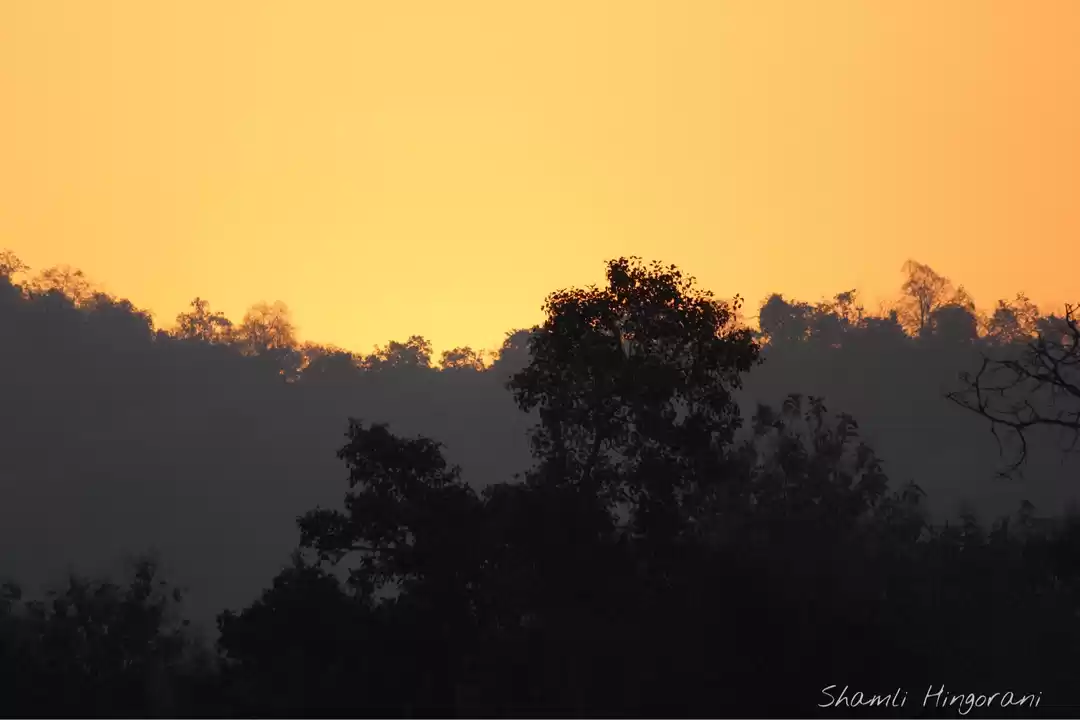 Photo of Jim’s Jungle Retreat