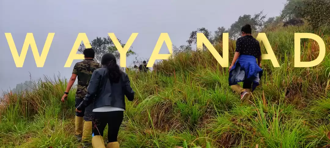 Photo of Wonderful Wayanad