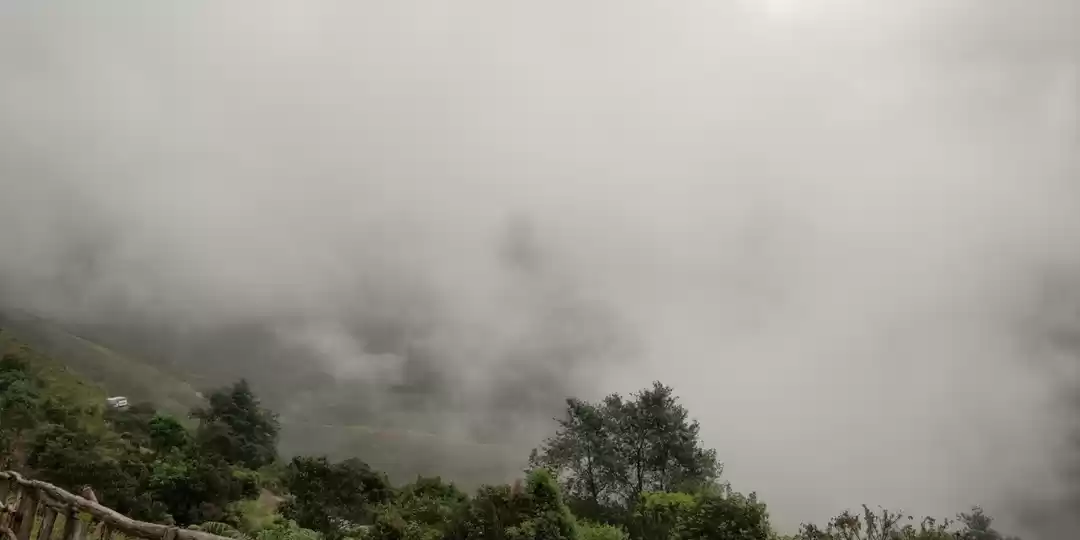 Photo of Munnar - Nilgiri hil