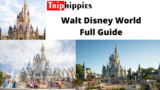 Photo of Walt Disney World: F