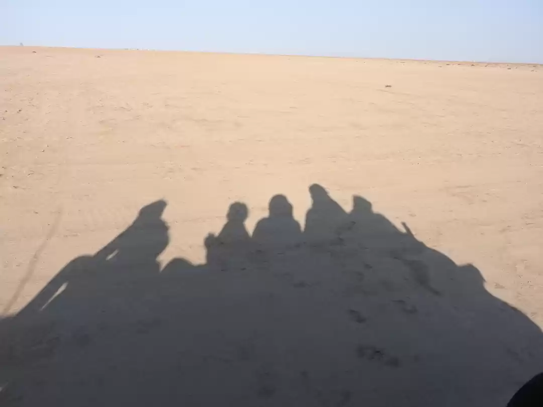 Photo of The Carnival of the