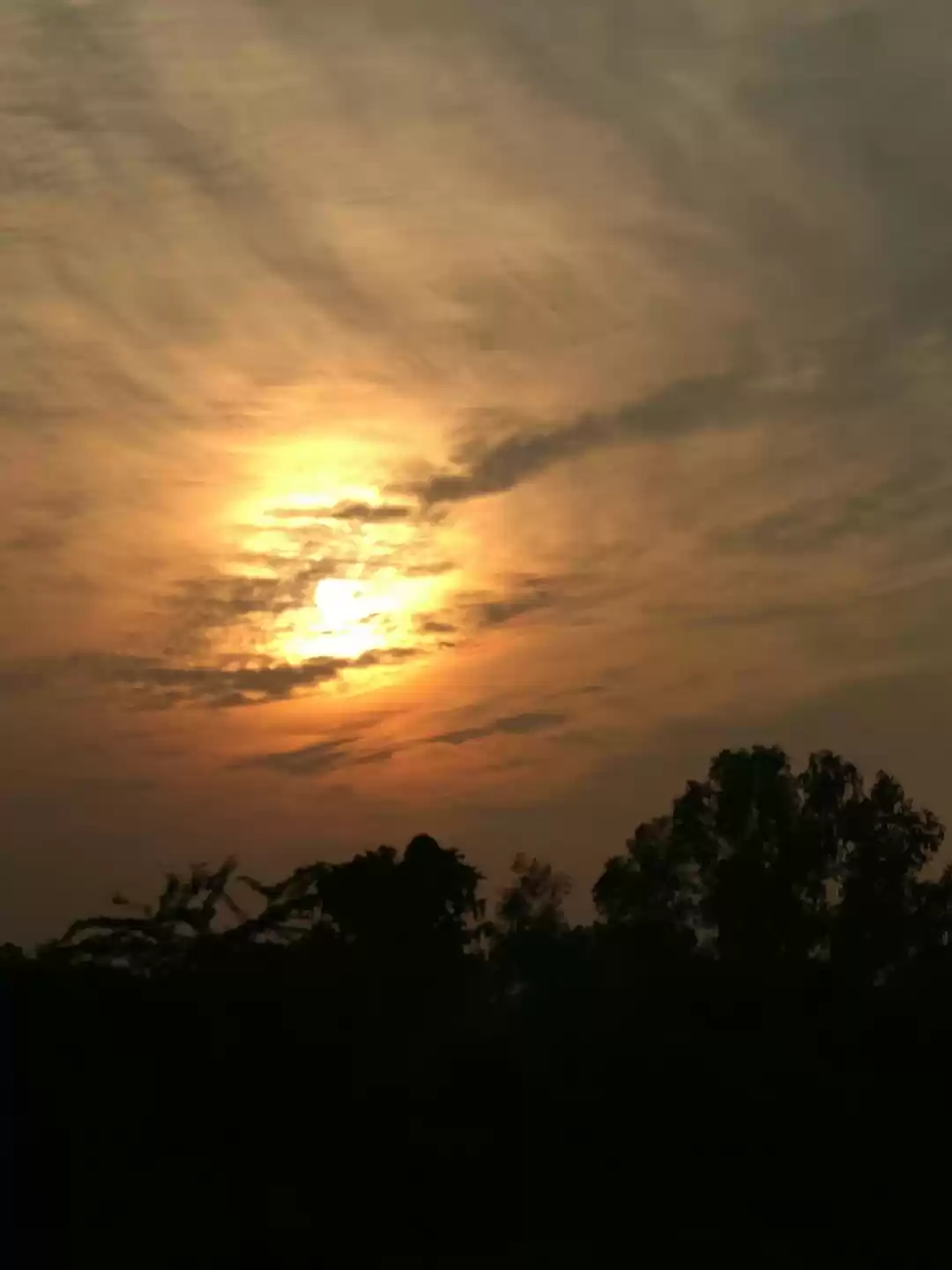 Photo of Road Trip Maharashtr