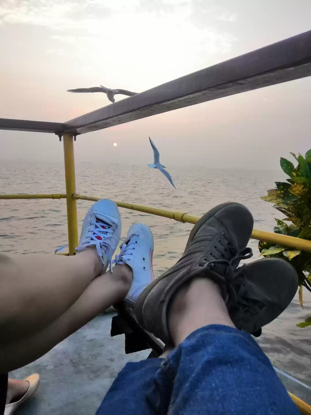 Photo of FERRY TO ALIBAUG