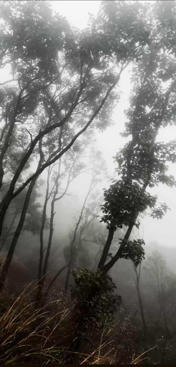 Photo of Wettest place in asi