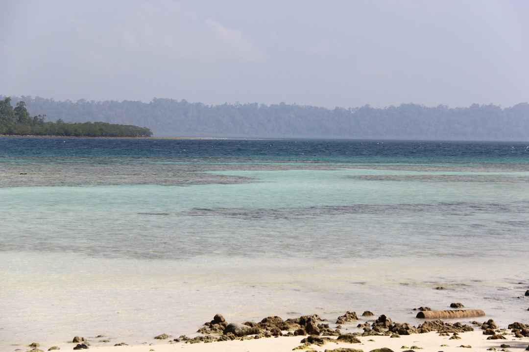 This Is Why I Will Visit Andamans Again Tripoto