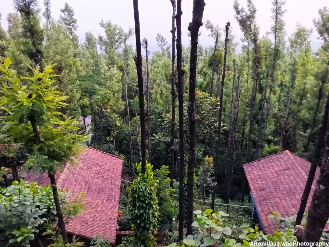 Photo of Beautiful Homestay i